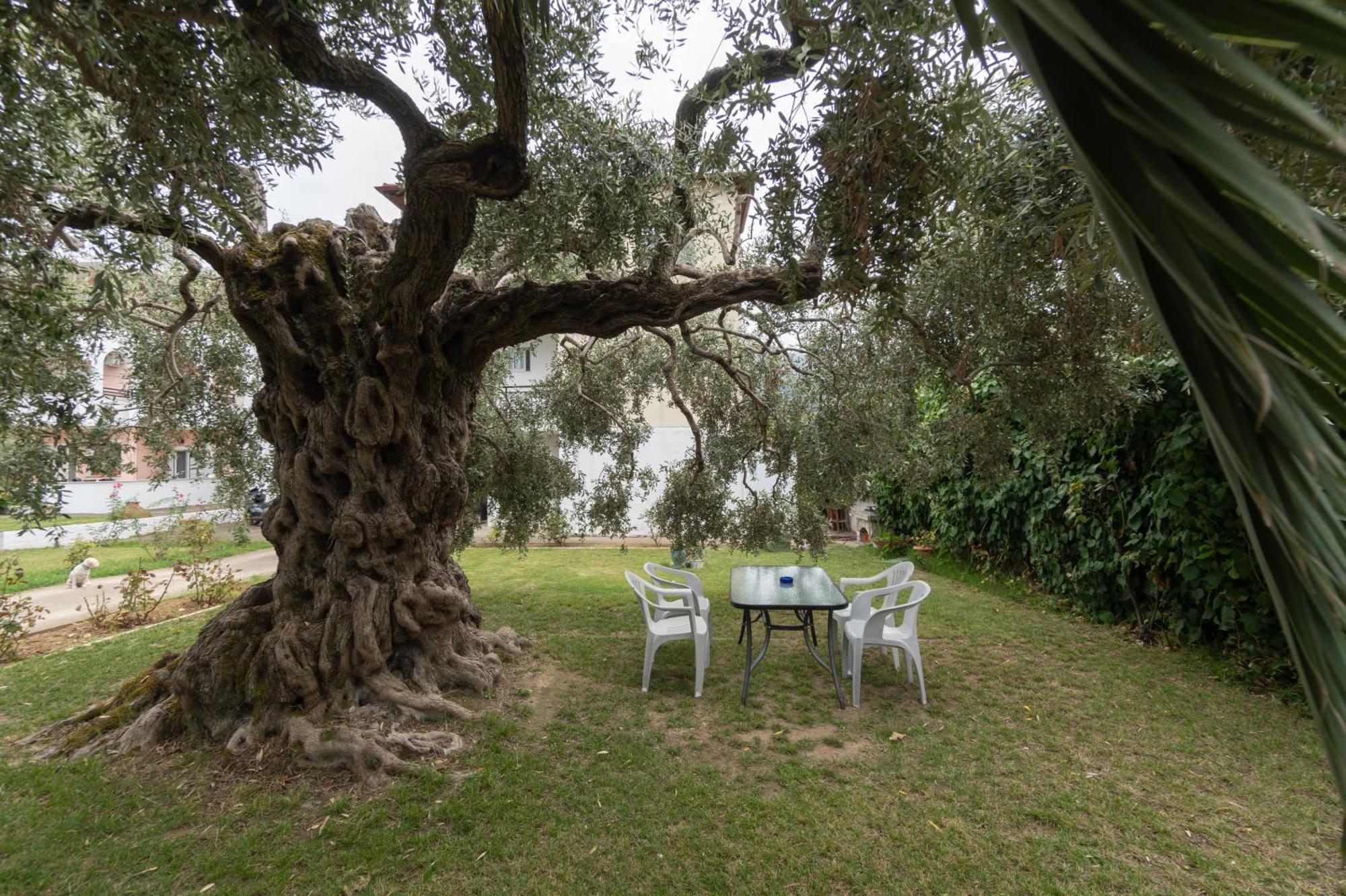 Studios Anais - Thasos Limenas (Thasos) Exterior foto